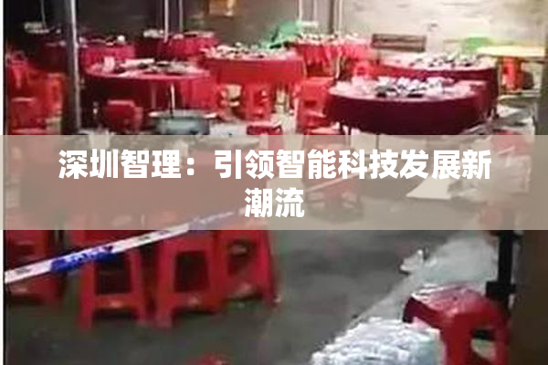 深圳智理：引领智能科技发展新潮流