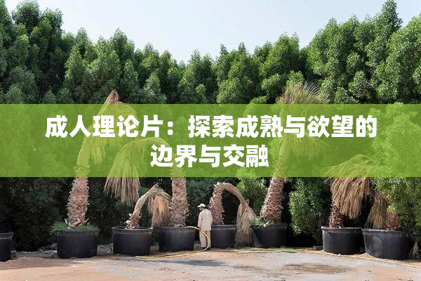 成人理论片：探索成熟与欲望的边界与交融