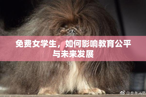 免费女学生，如何影响教育公平与未来发展