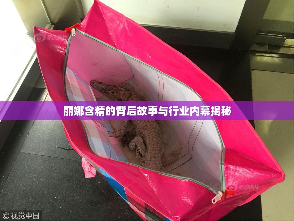 丽娜含精的背后故事与行业内幕揭秘