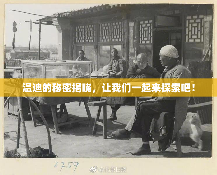 温迪的秘密揭晓，让我们一起来探索吧！
