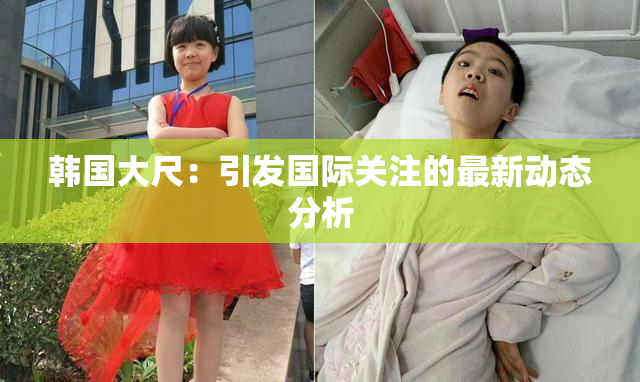 韩国大尺：引发国际关注的最新动态分析