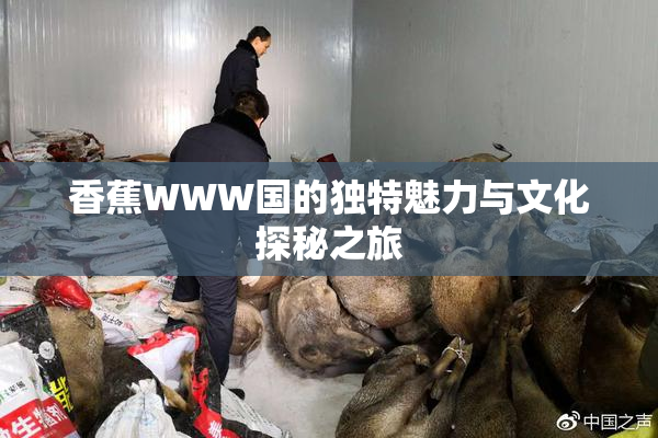 香蕉WWW国的独特魅力与文化探秘之旅