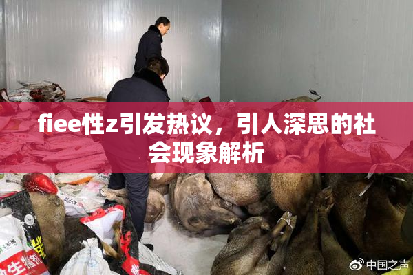 fiee性z引发热议，引人深思的社会现象解析