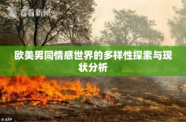 欧美男同情感世界的多样性探索与现状分析