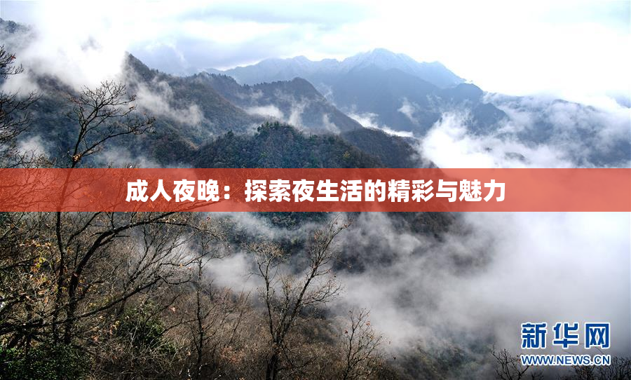 成人夜晚：探索夜生活的精彩与魅力