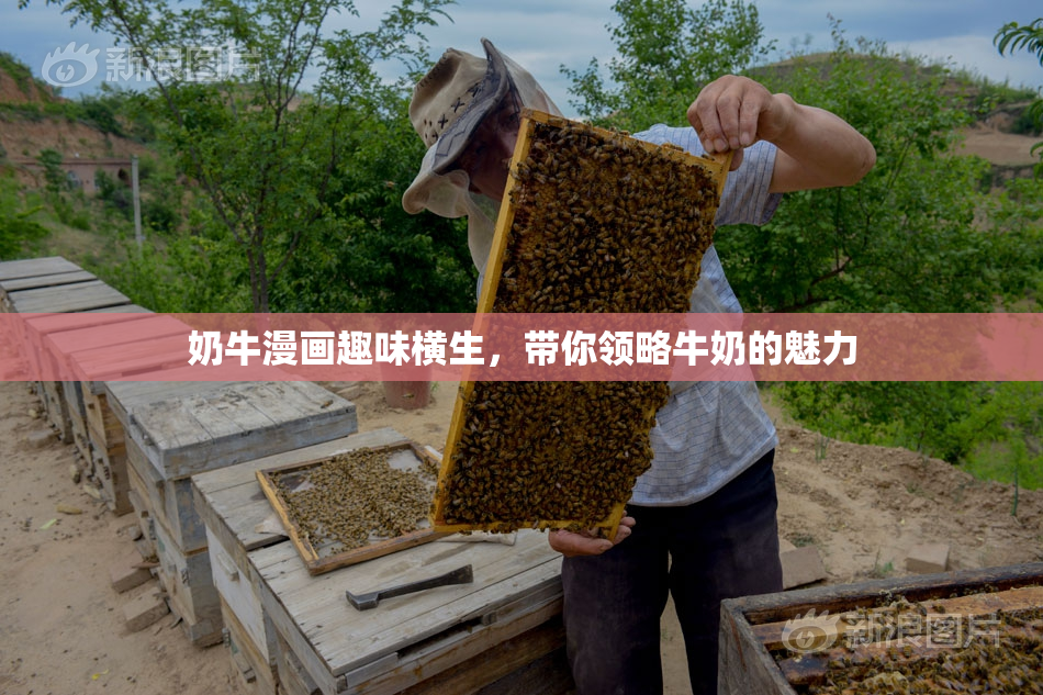 奶牛漫画趣味横生，带你领略牛奶的魅力