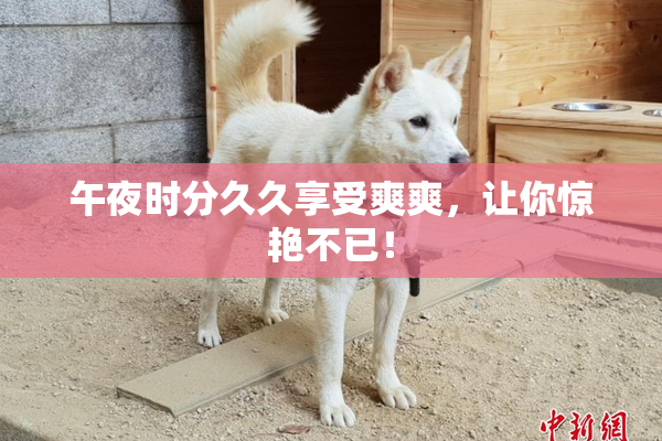 午夜时分久久享受爽爽，让你惊艳不已！