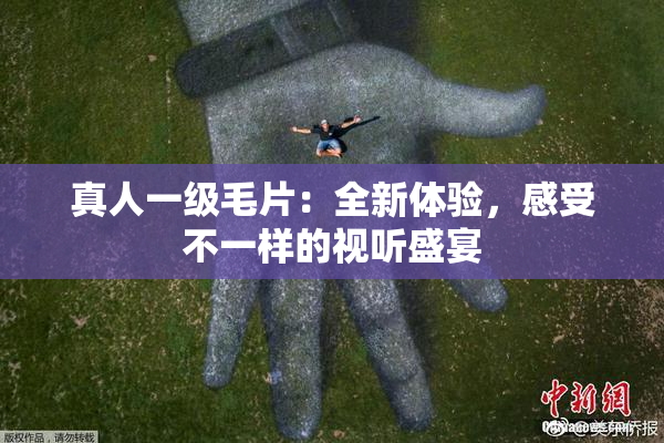 真人一级毛片：全新体验，感受不一样的视听盛宴