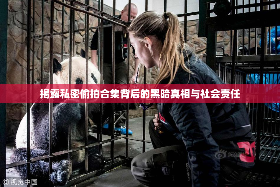 揭露私密偷拍合集背后的黑暗真相与社会责任
