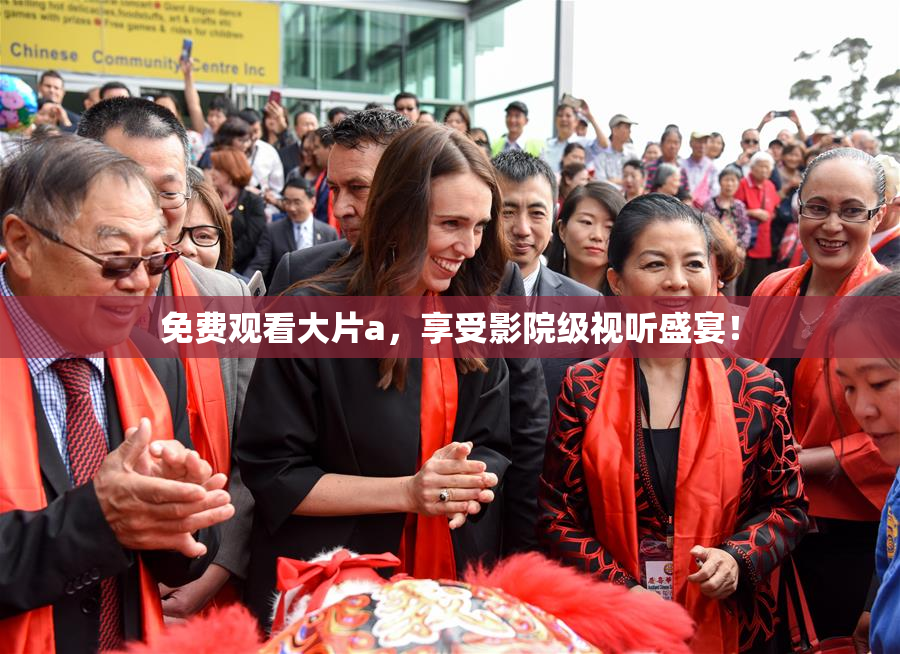 免费观看大片a，享受影院级视听盛宴！