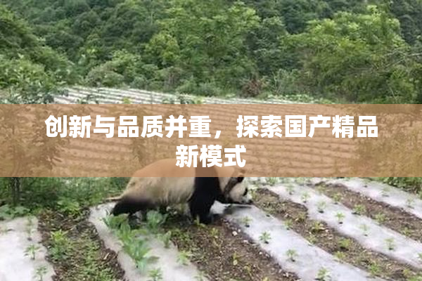 创新与品质并重，探索国产精品新模式