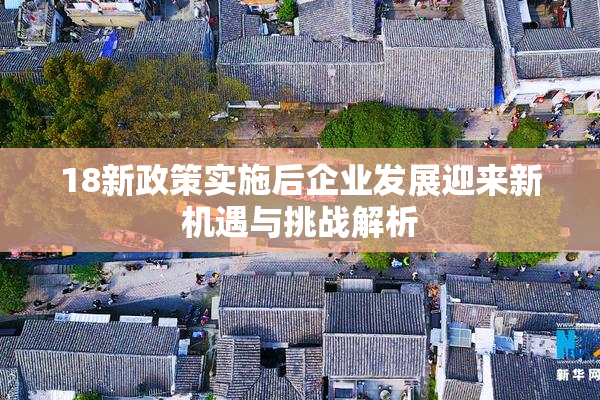 18新政策实施后企业发展迎来新机遇与挑战解析
