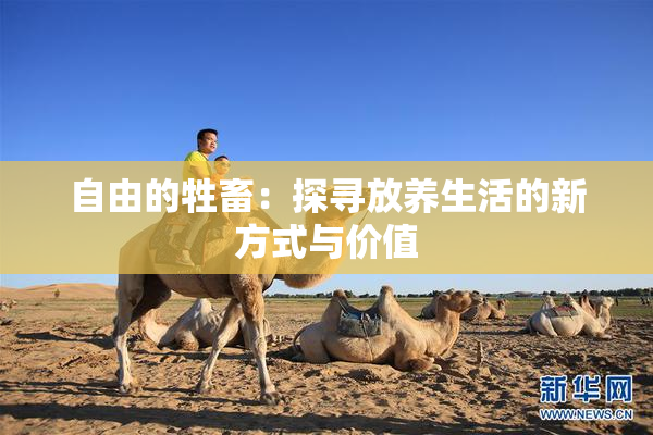 自由的牲畜：探寻放养生活的新方式与价值