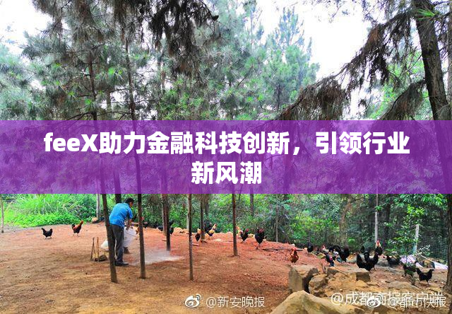 feeX助力金融科技创新，引领行业新风潮