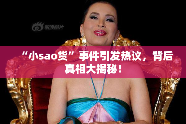 “小sao货”事件引发热议，背后真相大揭秘！