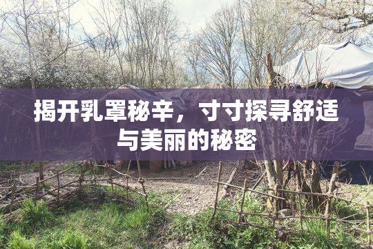 揭开乳罩秘辛，寸寸探寻舒适与美丽的秘密