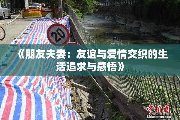 《朋友夫妻：友谊与爱情交织的生活追求与感悟》