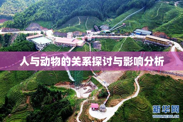 人与动物的关系探讨与影响分析