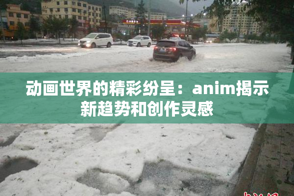 动画世界的精彩纷呈：anim揭示新趋势和创作灵感