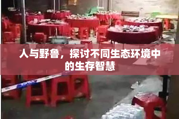 人与野鲁，探讨不同生态环境中的生存智慧