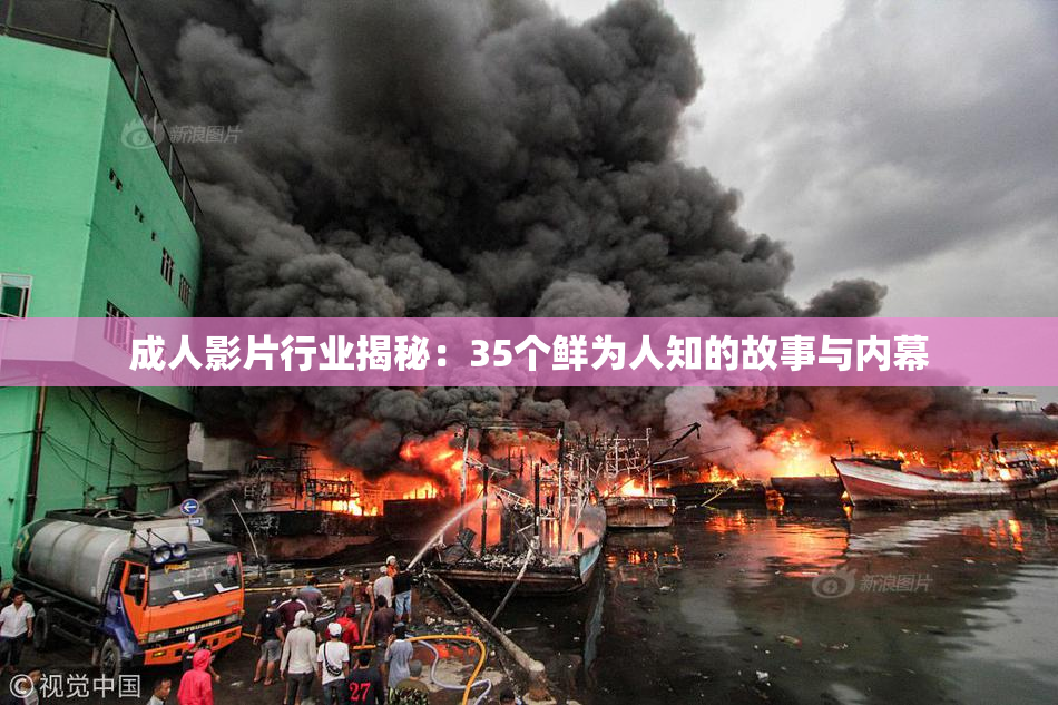 成人影片行业揭秘：35个鲜为人知的故事与内幕