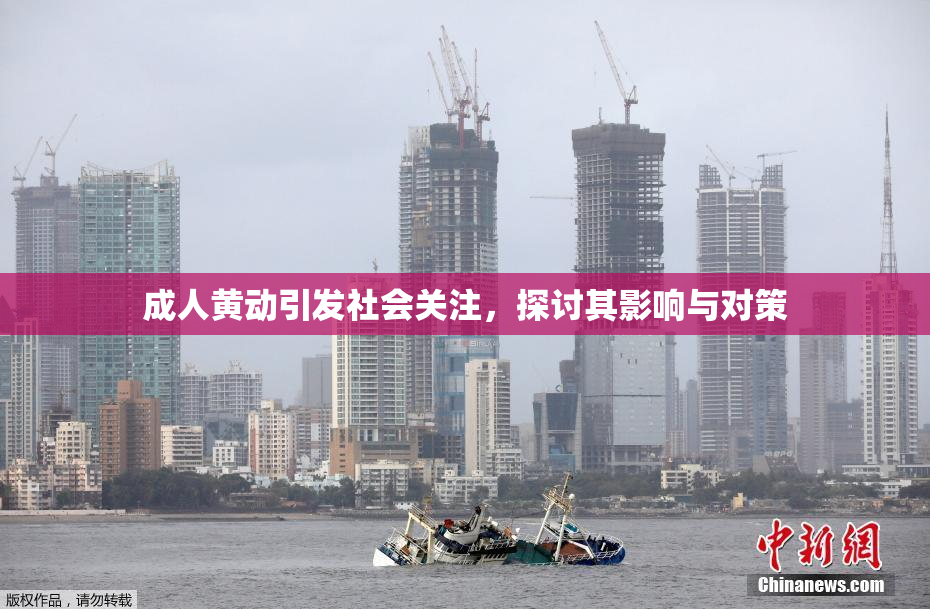 成人黄动引发社会关注，探讨其影响与对策