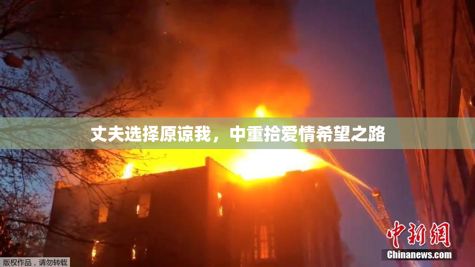丈夫选择原谅我，中重拾爱情希望之路