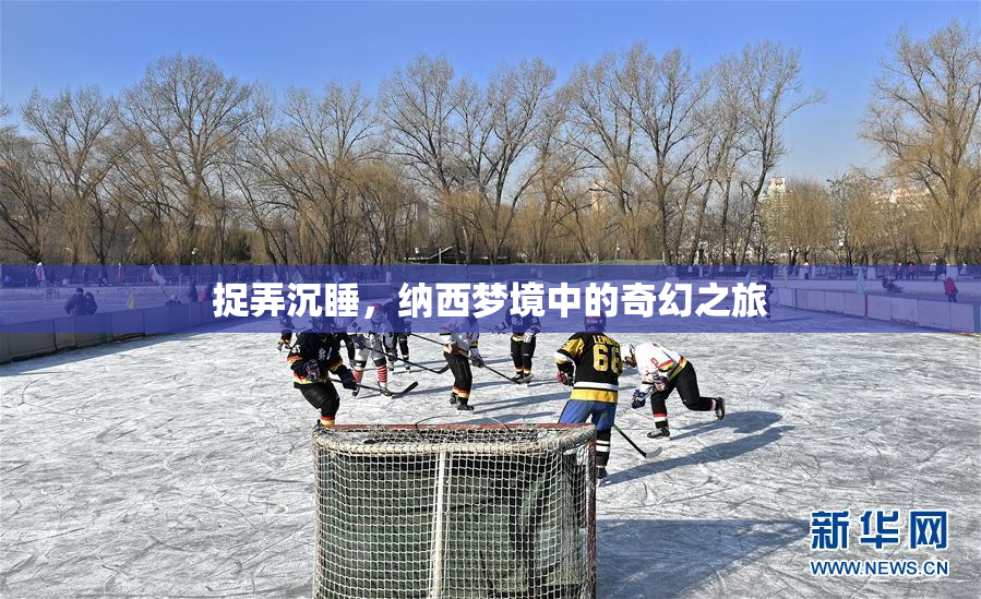 捉弄沉睡，纳西梦境中的奇幻之旅