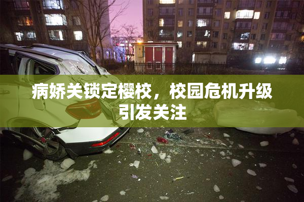 病娇关锁定樱校，校园危机升级引发关注