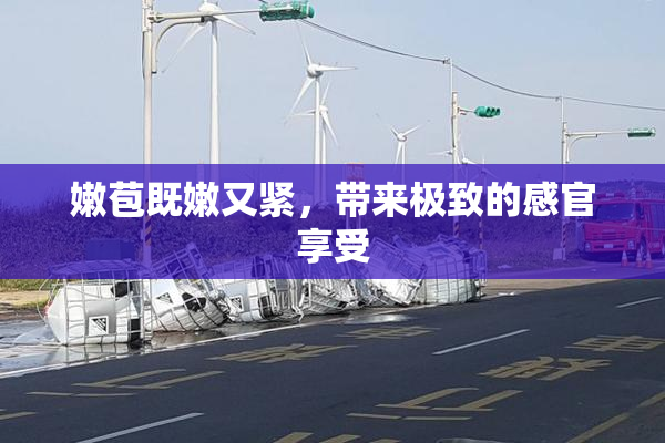 嫩苞既嫩又紧，带来极致的感官享受
