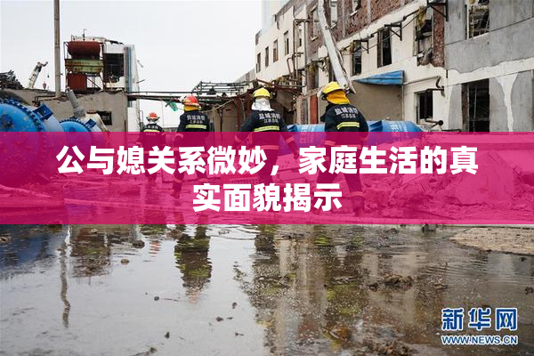 公与媳关系微妙，家庭生活的真实面貌揭示