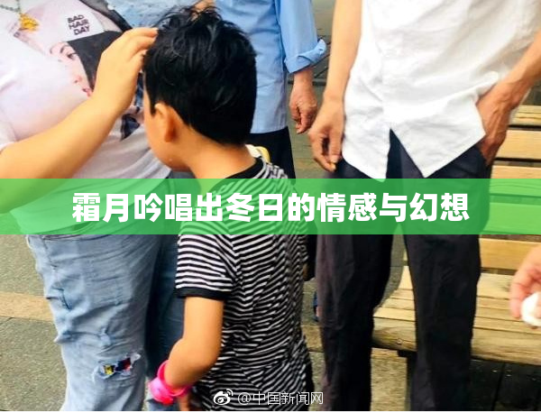 霜月吟唱出冬日的情感与幻想