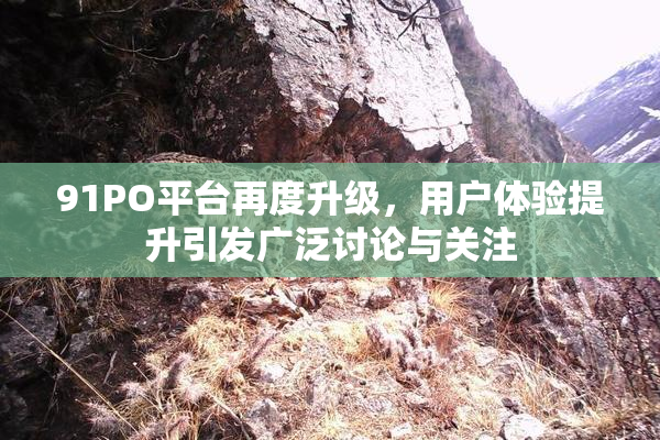 91PO平台再度升级，用户体验提升引发广泛讨论与关注