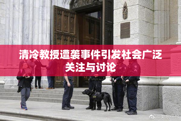清冷教授遭袭事件引发社会广泛关注与讨论