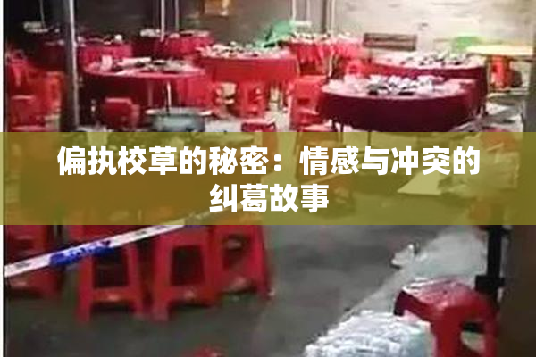 偏执校草的秘密：情感与冲突的纠葛故事