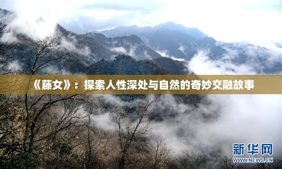 《藤女》：探索人性深处与自然的奇妙交融故事