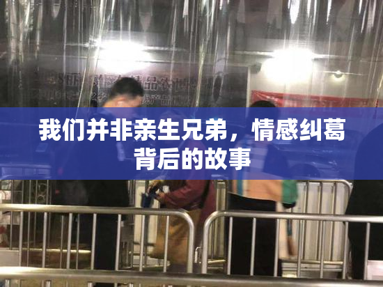 我们并非亲生兄弟，情感纠葛背后的故事