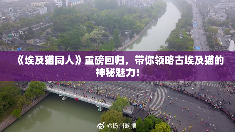 《埃及猫同人》重磅回归，带你领略古埃及猫的神秘魅力！