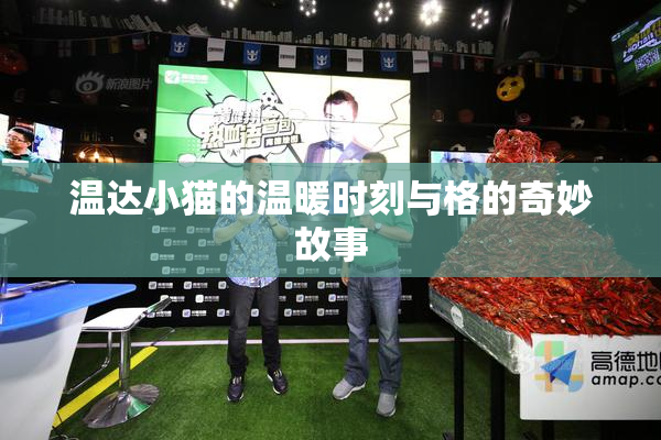 温达小猫的温暖时刻与格的奇妙故事