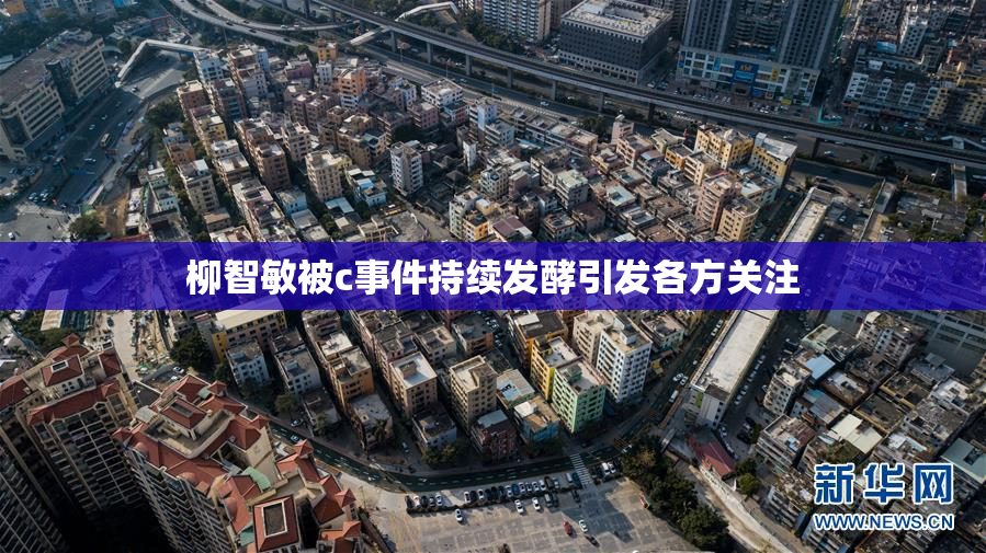 柳智敏被c事件持续发酵引发各方关注