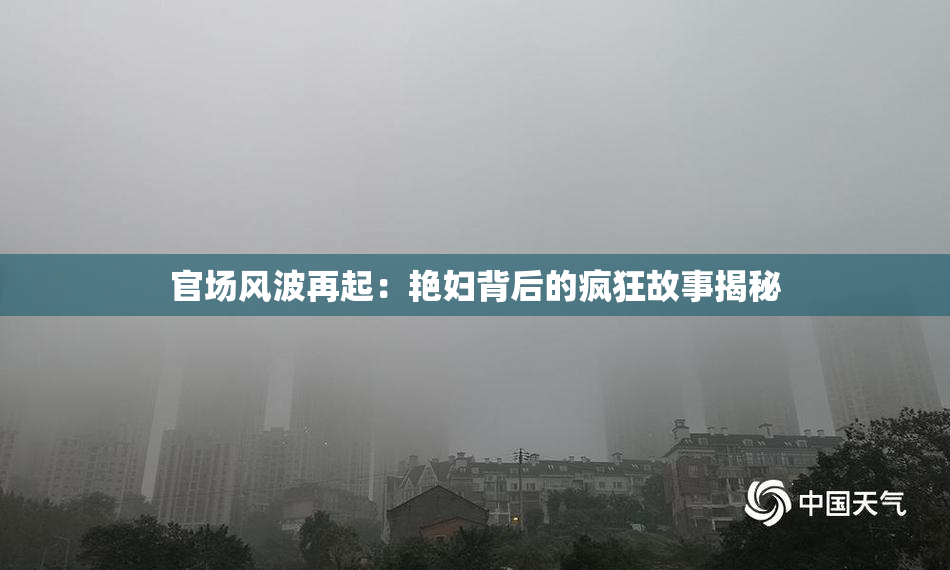 官场风波再起：艳妇背后的疯狂故事揭秘