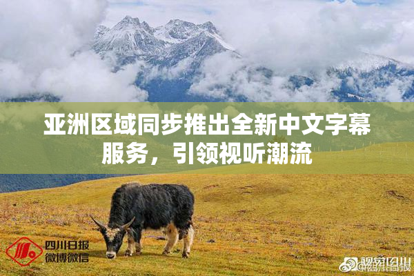 亚洲区域同步推出全新中文字幕服务，引领视听潮流