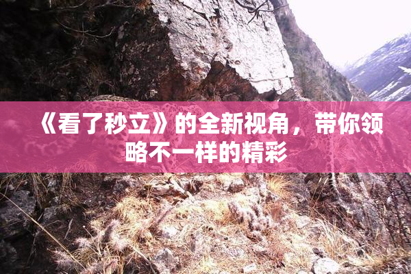 《看了秒立》的全新视角，带你领略不一样的精彩