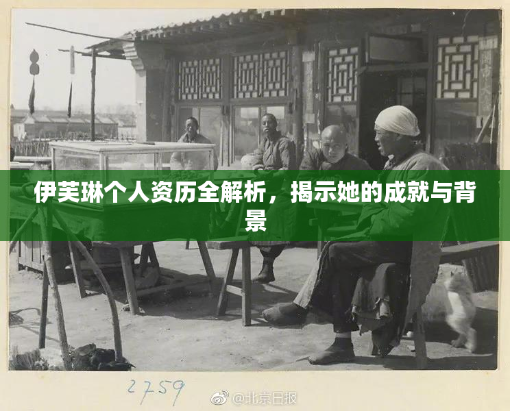 伊芙琳个人资历全解析，揭示她的成就与背景