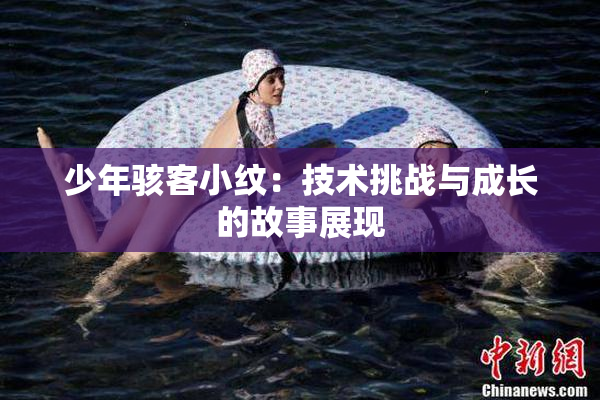 少年骇客小纹：技术挑战与成长的故事展现