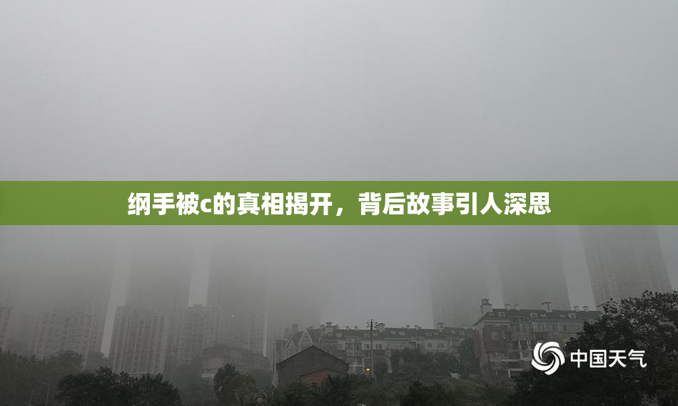 纲手被c的真相揭开，背后故事引人深思
