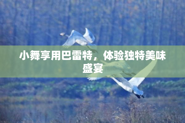 小舞享用巴雷特，体验独特美味盛宴
