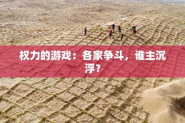 权力的游戏：各家争斗，谁主沉浮？