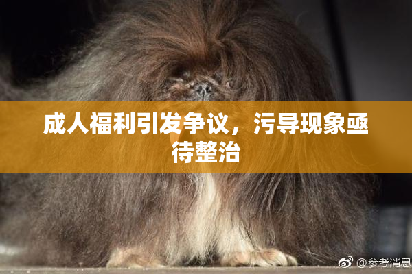 成人福利引发争议，污导现象亟待整治